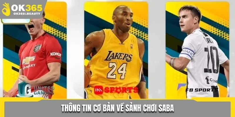 Thông tin cơ bản về sảnh chơi Saba